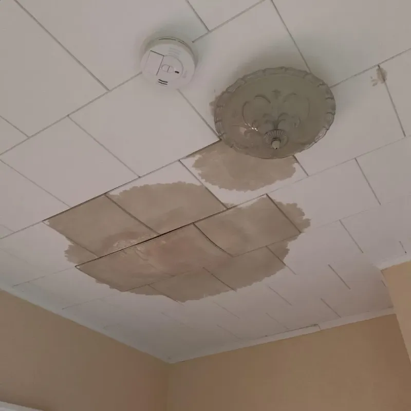 Ceiling Water Damage Repair in Linden, CA